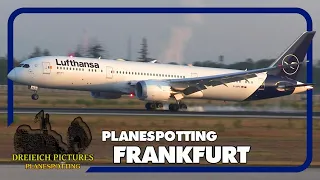 Planespotting Frankfurt Airport | September 2023 | Part 2