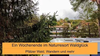 #108 Ein Wochenende im Naturresort Waldglück im Pfälzer Wald