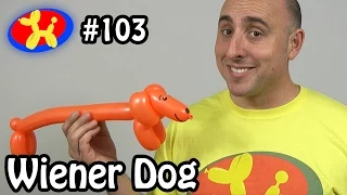 Wiener Dog  - Balloon Animal Lessons #103