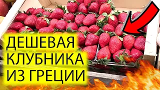 🍓КЛУБНИКА ИЗ ГРЕЦИИ ДЕШЕВЕЕТ | РЫНОК НА ДАРНИЦЕ В КИЕВЕ | ЦЕНЫ КАРТОШКА ЯЙЦА ПОМИДОРЫ ЯБЛОКИ ОГУРЦЫ