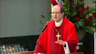 Palm Sunday 2016 - Bishop David J. Walkowiak Homily, Diocese of Grand Rapids