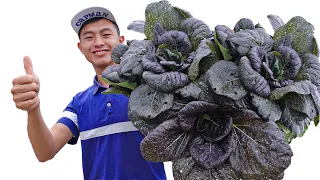 Don't Need A Garden, Still Grow Super Giant Vegetables, Knowing This Tip