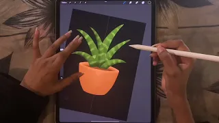 Succulent Plant Pot / Digital Drawing / iPad Procreate Drawing Art