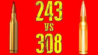 243 VS 308 - YouTube Banned This Video