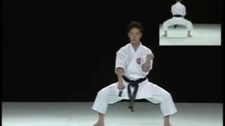Jiin   Shito Ryu Karate Do Kata & Bunkai