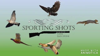 Wood pigeon Shooting Uk Shotkam with Sporting Shots