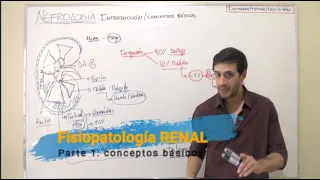 FISIOPATOLOGÍA RENAL CONCEPTOS BÁSICOS PARTE 1