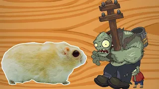 Hamster Escape From Obstacle Course - Plants Vs Zombies Effect