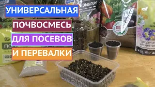 КАК СОСТАВИТЬ ПРАВИЛЬНЫЙ ГРУНТ ДЛЯ ПОСЕВА И ПЕРЕВАЛКИ!