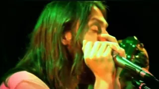 Black Crowes   Thorn in my Pride   Live at the Roxy (subtitulado)