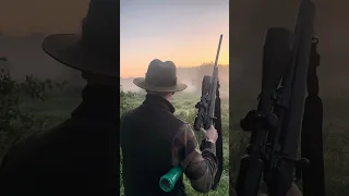 Deer Hunting in Poland