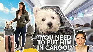 Our puppy Wasn't ALLOWED On The Plane! (Almost)