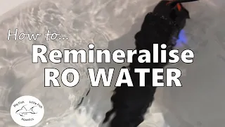 How to remineralise RO water | Freshwater Aquariums