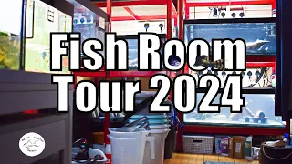 Fish Room Tour 2024 | Big Fish Little Fish Aquatics