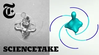 Spinning Water Droplets That Seemingly Defy Physics | ScienceTake
