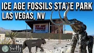 Nevada's NEWEST State Park : ICE AGE FOSSILS State Park in Las Vegas, Nevada