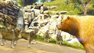 bear chases lions fights wolves and jumps from a high waterfall