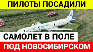 Самолет «Уральских авиалиний» пилоты посадили в поле