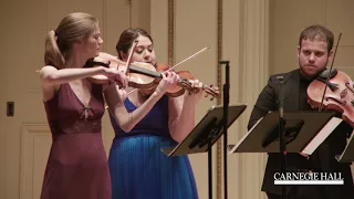 Ensemble Connect: Marcello Oboe Concerto in C Minor