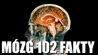 MÓZG - 102 FAKTY