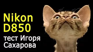 Игорь Сахаров. Nikon D850 в студийных условиях. Тест