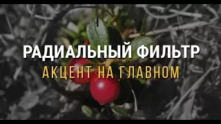 Радиальный фильтр — акцент на главном!