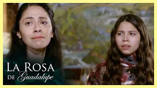 ¡Carolina se reencuentra con sus mellizos! | Dos latidos de un mismo amor | La Rosa de Guadalupe