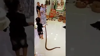 A child holding a Snake 😱😵#shorts #snake