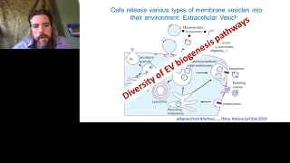 Keynote Presentation: Starting at the source: tissue extracellular vesicles and Alzheimer's disease