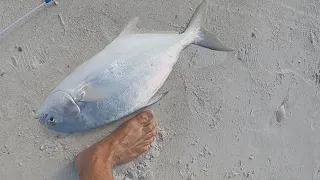 Maybe This Will Inspire You (Saltwater Fishing Florida)