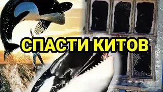 "КИТОВАЯ ТЮРЬМА". МНЕНИЕ ЛОРЫ БЕЛОИВАН