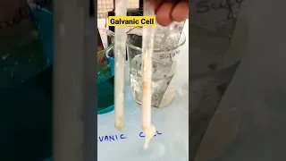 Galvanic Cell Demonstration #chemistry #electrochemistry #cbse #igcse #experiments