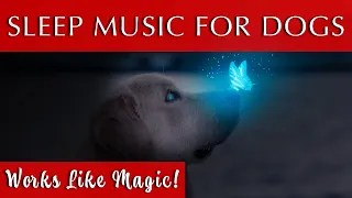 Sleep Music for Dogs Black Screen | 432Hz Tuning