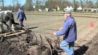 Ploegen met paarden