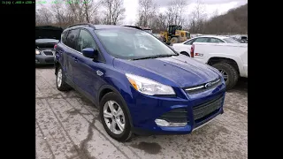 Ford Escape 13-16: комплектации, конструкция, особенности спроса