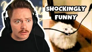 Shockingly Funny Memes ( Laugh = Lose )