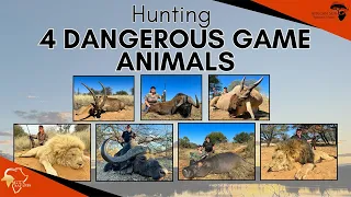 Hunting Dangerous and Big Game with GTA Safaris