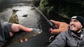 Pescando  SOLO a orillas de este PELIGROSO RÍO lleno de TRUCHAS!