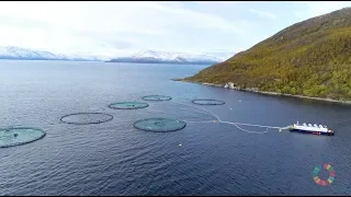 Grieg Seafood - Farming the ocean for a better future