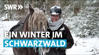 Warten auf den Winter – Herausforderung Klimawandel im Schwarzwald | Geschichte & Entdeckungen