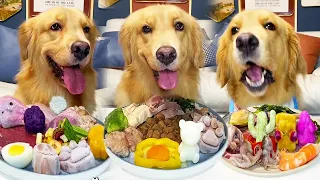 The Golden Retriever eats the beef heart raw, it’s chewy! #asmr #eat broadcast #eatinsounds