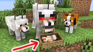 Monster School : Baby Herobrine Became a Jungle Man After Being Abandoned - Minecraft Animation