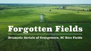 Georgetown SC Rice Fields - Forgotten Fields by Aerial Videographer Steve Tanner