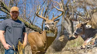 KALEB'S WHITETAIL TROPHY ROOM TOUR!