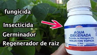 Usos del agua oxigenada en las plantas