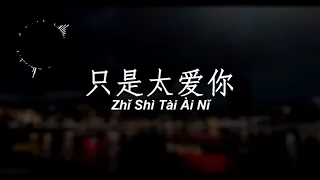 Chinese song - Zhi shi tai ai ni ( Ding Fu )