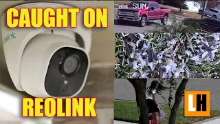 Reolink NVR PoE IP Security Cameras Update - Why We Need 24/7 Recording? Cat6 Ethernet Cable Upgrade