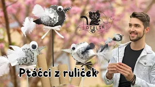 Ptáčci z ruliček - Jan Diblíček