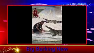 Horrifying moment huge crocodile bites a trainer’s arm in front of dozens of horrified spectator