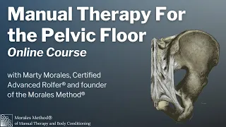 Manual Therapy for the Pelvic Floor Online Course